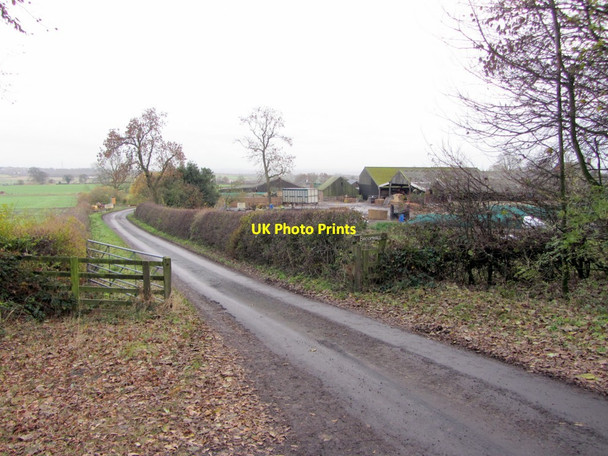 Photo 6"x4" Entrance road to Broomhall Farm Callerton Lane End c2013