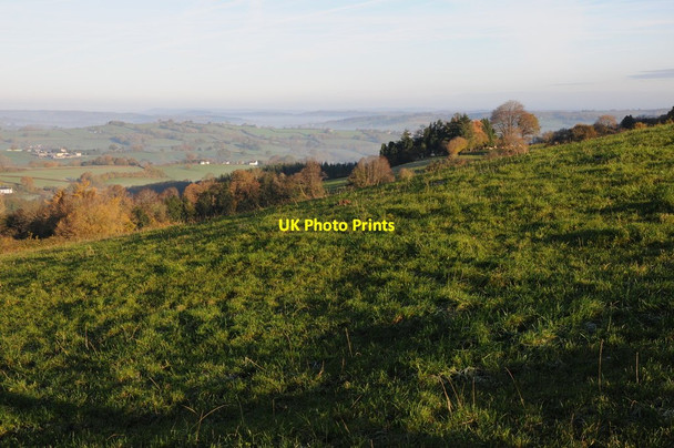Photo 6"x4" Farmland near Grosmont Cross Ash c2013