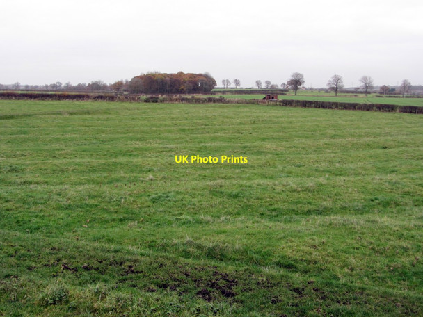 Photo 6"x4" Ridge and furrow south of Lady Pit Callerton c2013
