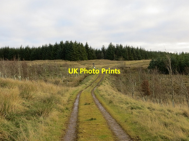 Photo 6"x4" Logging road, Struther Burn Moss Red Bog c2013 P1