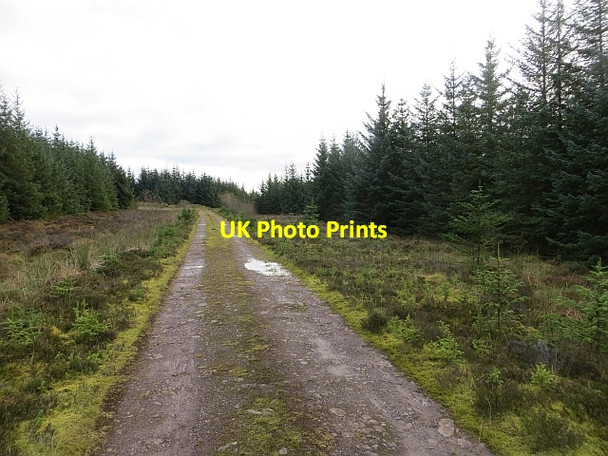 Photo 6"x4" Road to Auchengilloch Red Bog c2013
