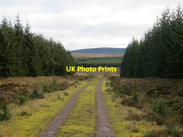 Photo 6"x4" Road to Auchengilloch Long Knowe Burn c2013