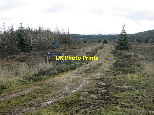 Photo 6"x4" Track, South Feeshie Burn Auchengilloch c2013 P1