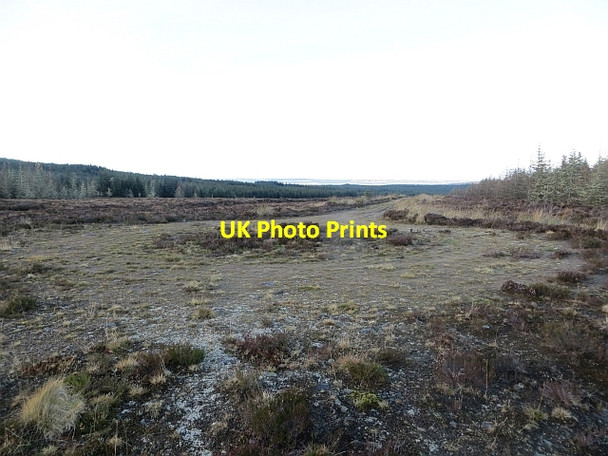Photo 6"x4" End of the track Back Burn\/NS7136 c2013