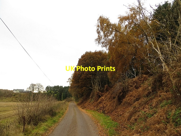 Photo 6"x4" Road off the Haughs Meikleour c2013