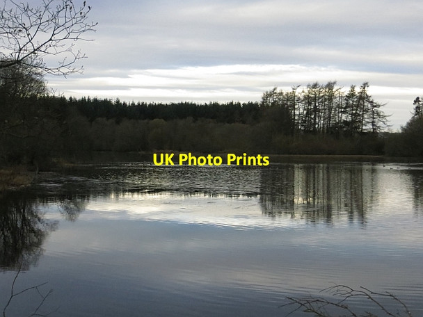 Photo 6"x4" Old England Loch Cargill c2013