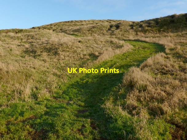 Photo 6"x4" Path leading up Roundwood Hill Bellsmyre c2013