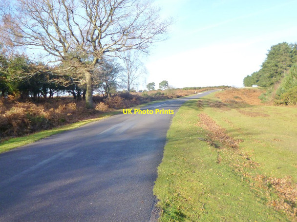 Photo 6"x4" Bolderwood, country road Stoney Cross c2013