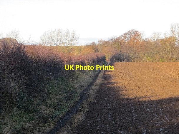 Photo 6"x4" Path, Tyninghame East Linton c2013