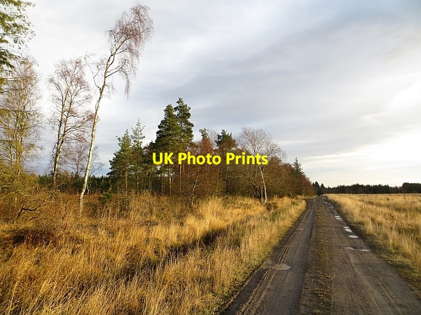 Photo 6"x4" Road, Muir of Thorn Bankfoot\/NO0635 c2013