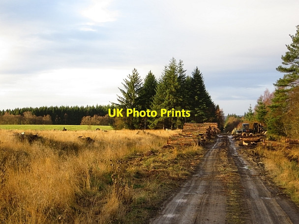 Photo 6"x4" Road, Muir of Thorn Bankfoot\/NO0635 c2013 P1