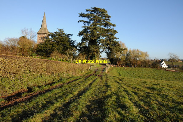 Photo 6"x4" Footpath to Wolferlow church Wolferlow c2013