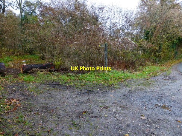 Photo 6"x4" Footpath leaves road south of East Marden East Marden c2013