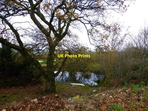 Photo 6"x4" Pond at Bow Hill Farm Chilgrove c2013