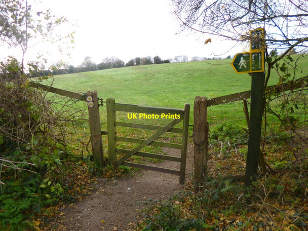 Photo 6"x4" Middle Winterslow, gate East Winterslow c2013