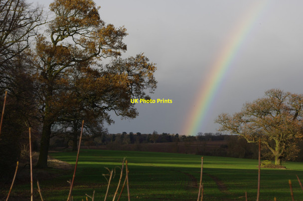 Photo 6"x4" Farmland near Pailton Little Walton c2013