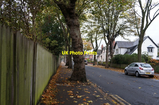 Photo 6"x4" Laburnum Avenue, Garden Village, Hull Kingston upon Hull c2013