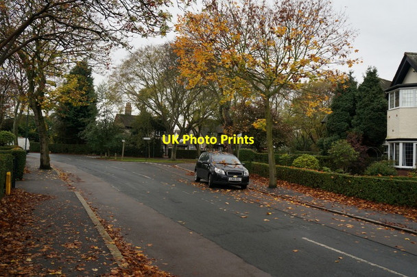 Photo 6"x4" Maple Grove, Garden Village, Hull Kingston upon Hull c2013 P2