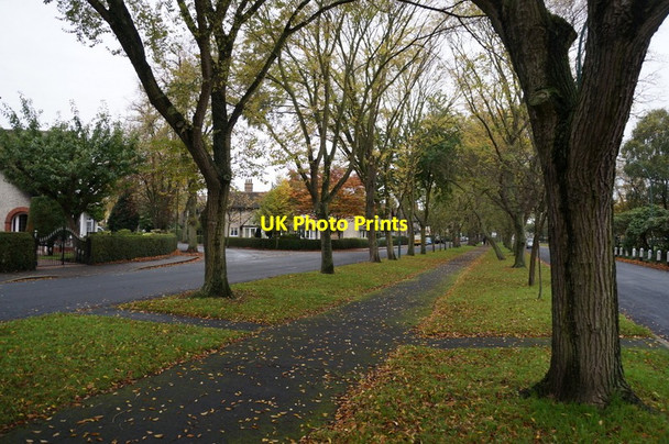 Photo 6"x4" Elm Avenue, Garden Village, Hull Kingston upon Hull c2013 P1