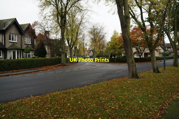 Photo 6"x4" Lime Tree Avenue off Elm Avenue, Hull Kingston upon Hull c2013