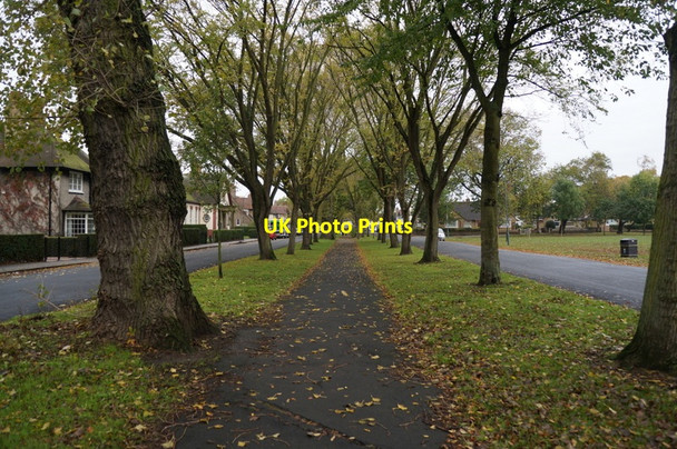 Photo 6"x4" Elm Avenue, Garden Village, Hull Kingston upon Hull c2013 P1