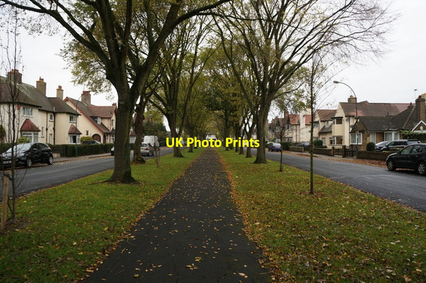 Photo 6"x4" Elm Avenue, Garden Village, Hull Kingston upon Hull c2013