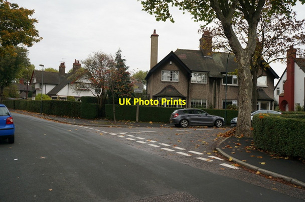 Photo 6"x4" May Tree Avenue from Lilac Avenue, Hull Kingston upon Hull c2013