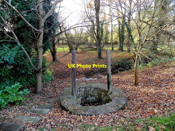 Photo 6"x4" Roofless well in Aston Ingham Aston Ingham c2013