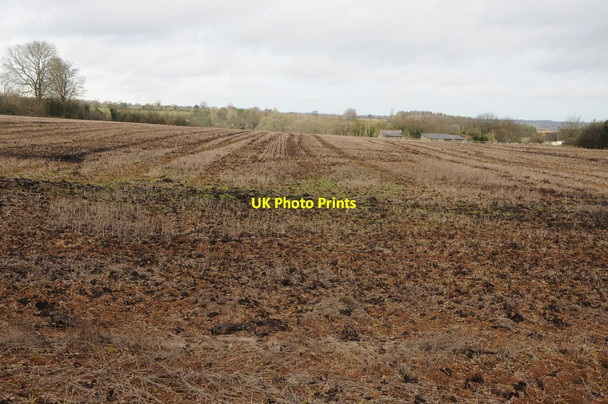 Photo 6"x4" Arable land above Lower Chedworth Lower Chedworth c2013