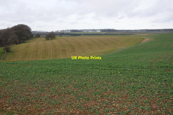 Photo 6"x4" Arable land, Compton Abdale Compton Abdale c2013