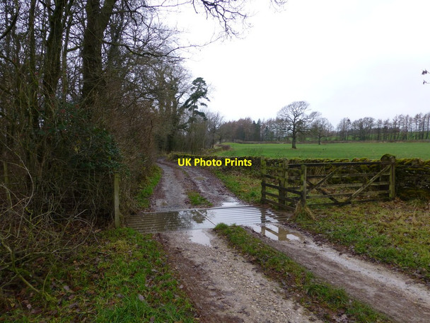 Photo 6"x4" Flooded cattle grid on track to Cowdber Farm Nether Burrow c2013