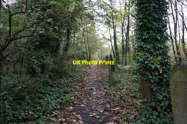 Photo 6"x4" Disused cemetery on Sculcoates Lane, Hull Kingston upon Hull c2013 P1
