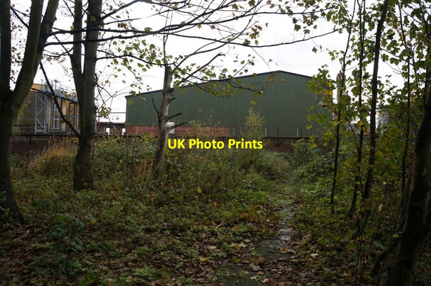 Photo 6"x4" Disused cemetery on Sculcoates Lane, Hull Kingston upon Hull c2013 P3