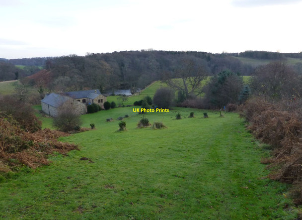 Photo 6"x4" Catheugh Estate beside the River Coquet Longframlington c2013