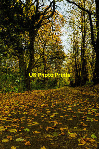 Photo 6"x4" Hoddom Castle Driveway Brydekirk c2013