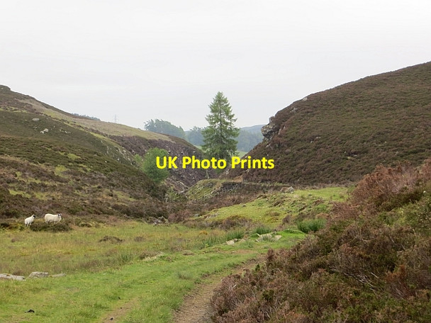 Photo 6"x4" Steepening in the Buckny Burn Garbh Chreag c2013