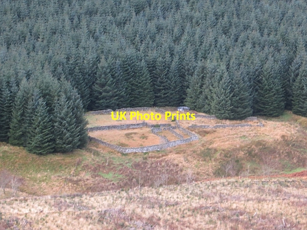 Photo 6"x4" Sheep pens, Bowerhope Bowerhope c2013