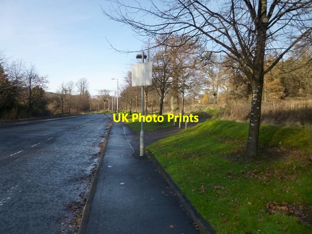 Photo 6"x4" The start of a path Dumbarton c2013