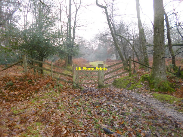 Photo 6"x4" Holmhill Inclosure, gate Bank\/SU2807 c2013