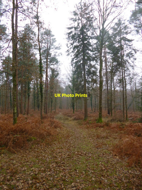 Photo 6"x4" Highland Water Inclosure Emery Down c2013