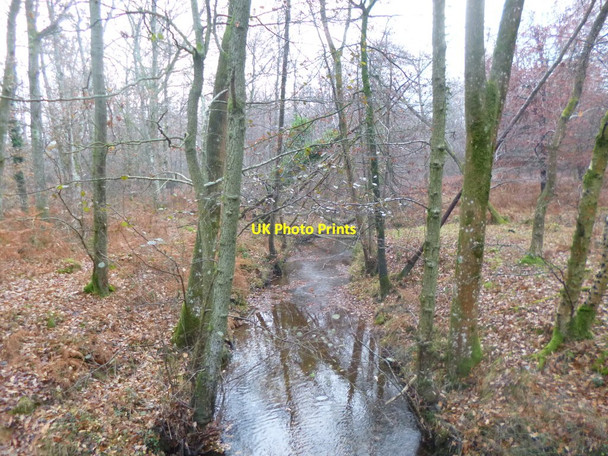 Photo 6"x4" Highland Water Inclosure, Highland Water Newtown\/SU2710 c2013