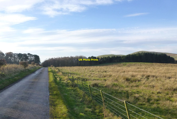 Photo 6"x4" The road to Eslington Eslington Park c2013