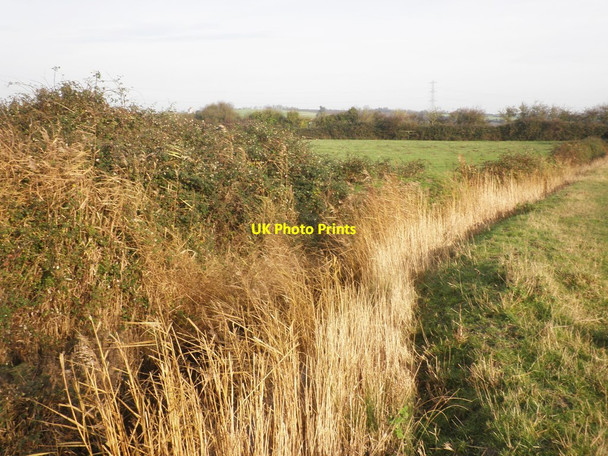 Photo 6"x4" Field drain, near Gaunt's Clyce Pawlett c2013