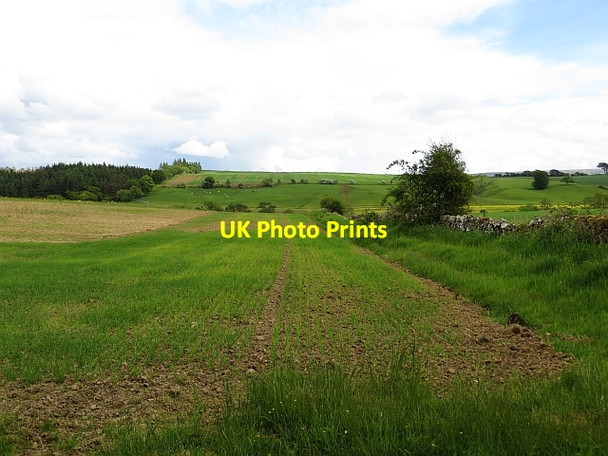 Photo 6"x4" Arable land, Morham Bolton\/NT5070 c2013