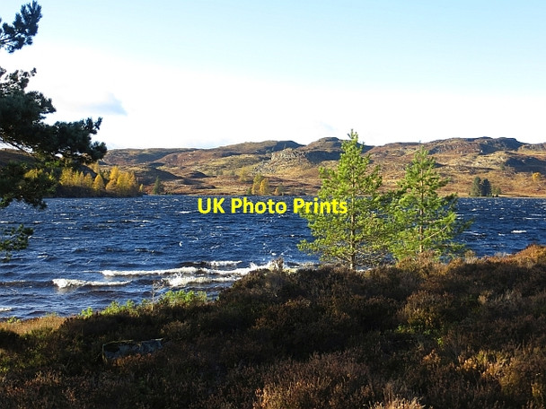 Photo 6"x4" Loch Ordie Guay c2013