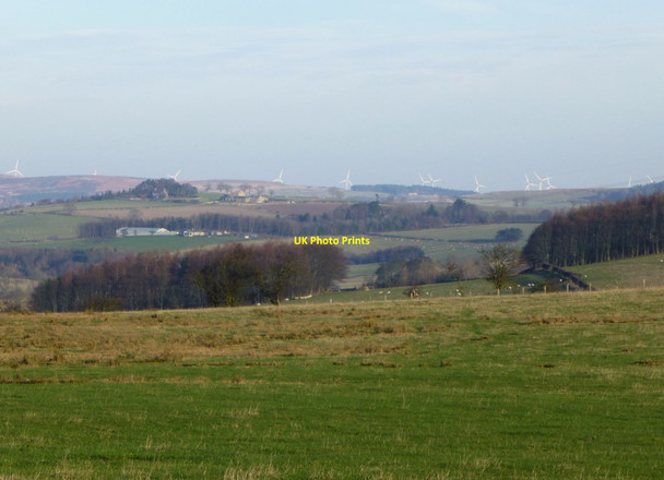 Photo 6"x4" Mile Moor Eslington Park c2013