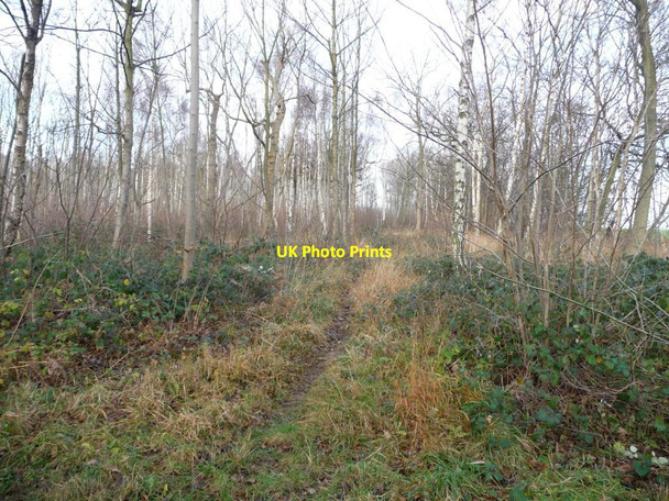 Photo 6"x4" Path to the northern boundary of Hartly Wood Micklefield\/SE4433 c2013