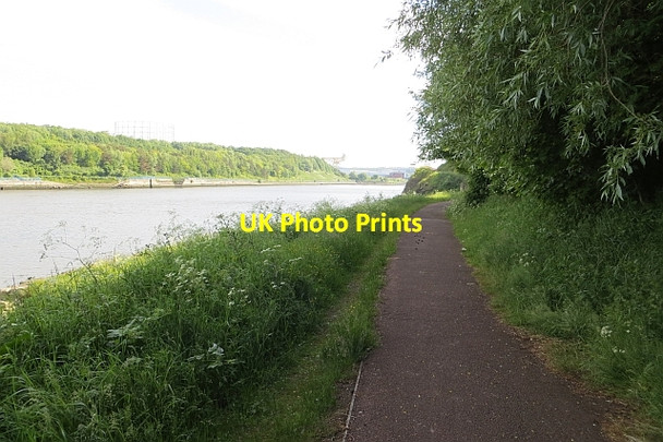 Photo 6"x4" Riverside path Pelaw c2013