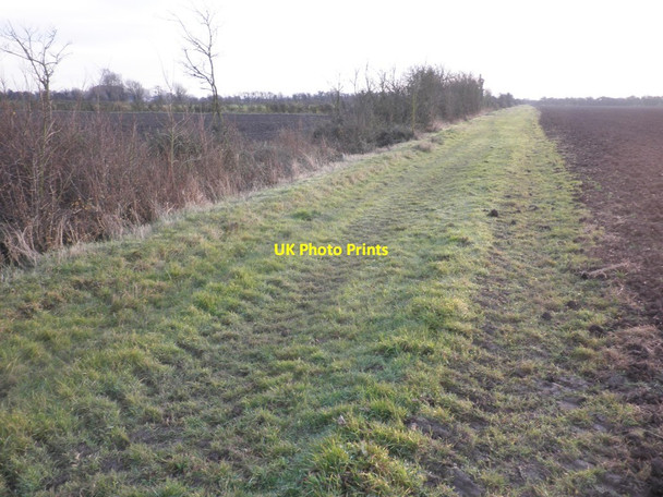 Photo 6"x4" Track on Dodds Farm Pawlett Hill c2013
