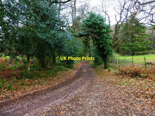 Photo 6"x4" Bridleway on Blackdown Dial Green c2013